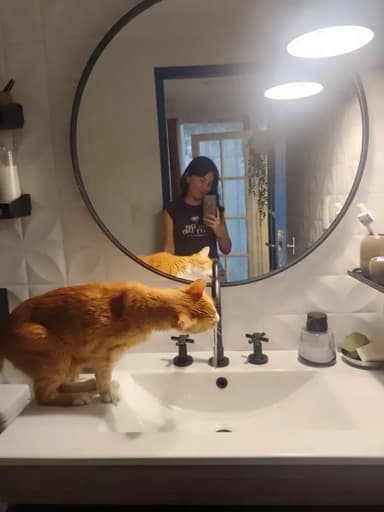 Foto de Marcela E.
