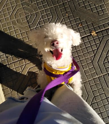 Foto de Martina L.