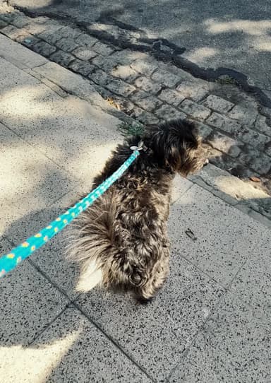 Foto de Naomi G.