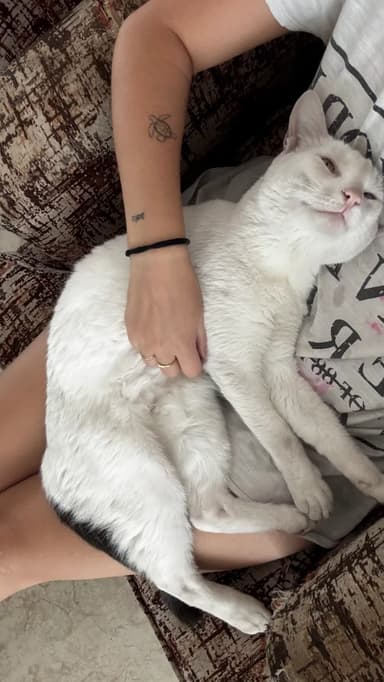 Foto de Violeta J.