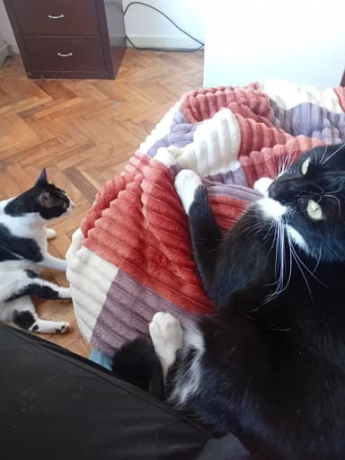 Foto de Luis A.