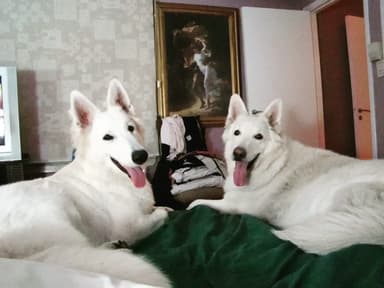 Foto de Marita A.