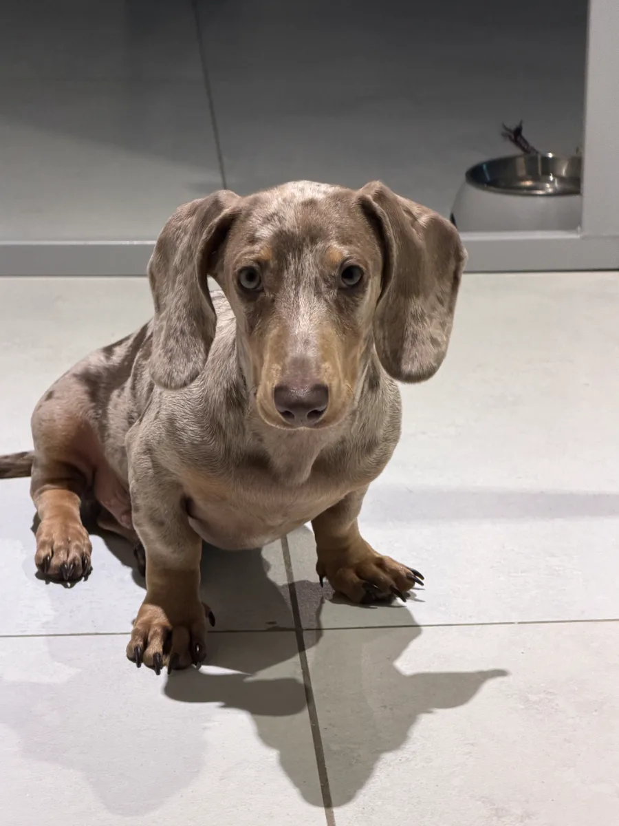Max
