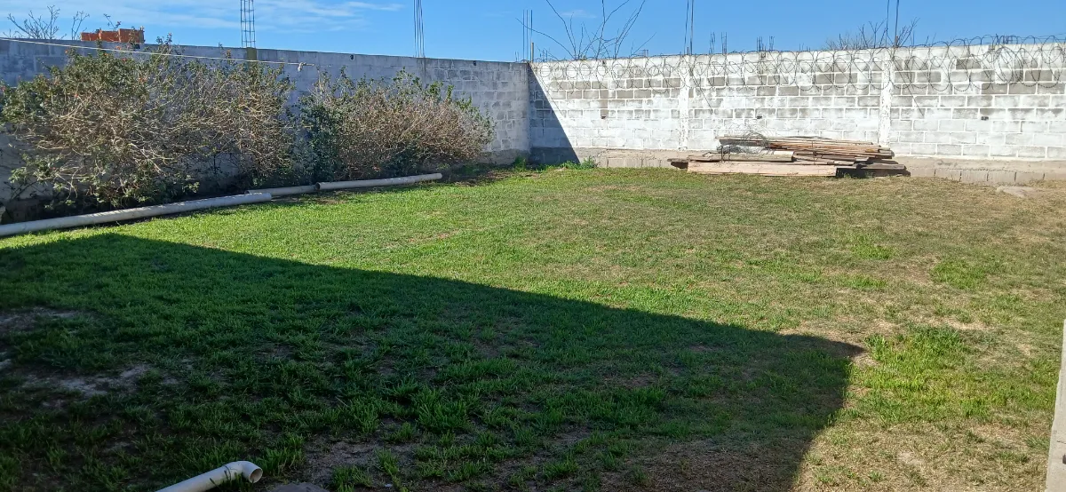 Andrea C. 2