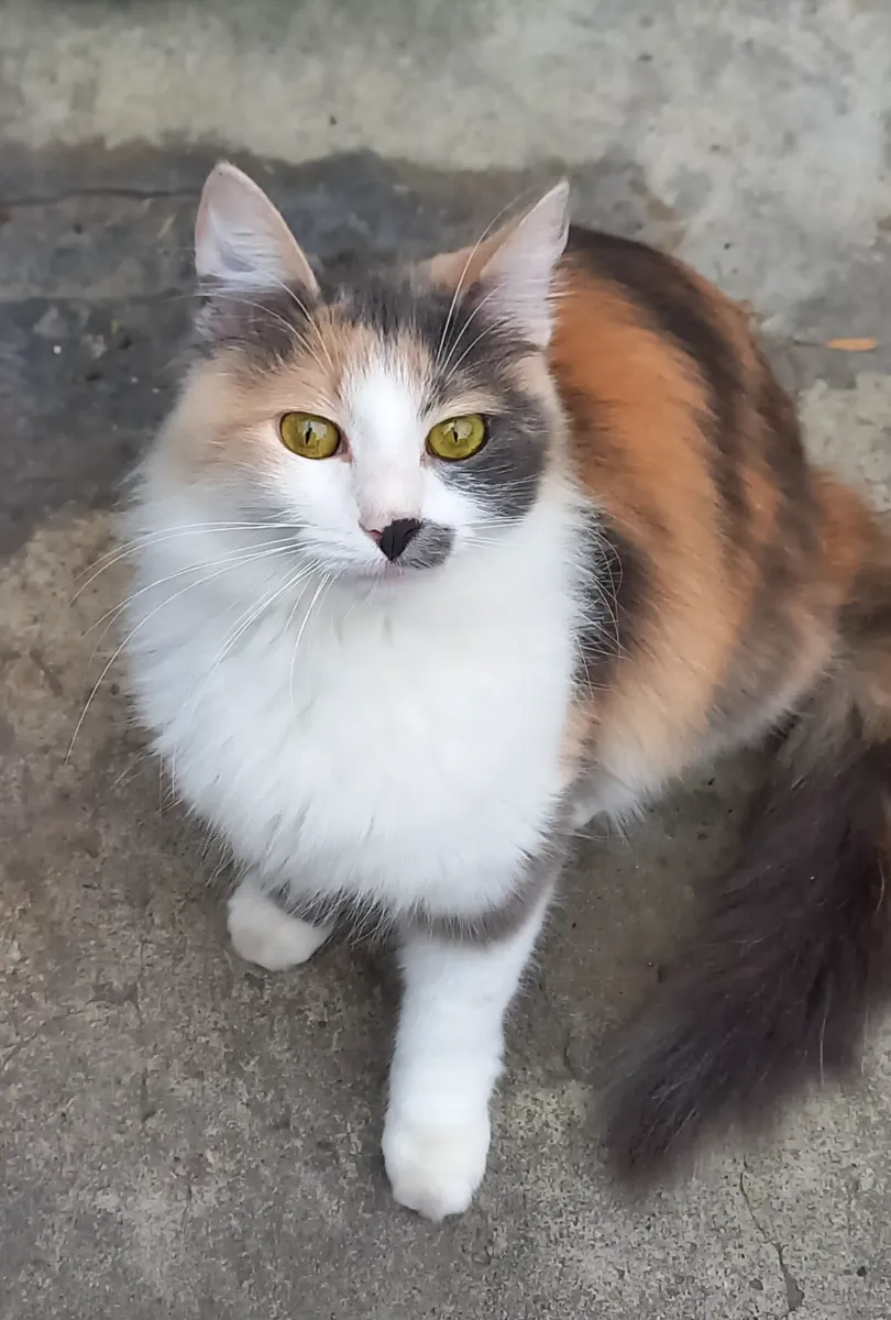 Ailín C.