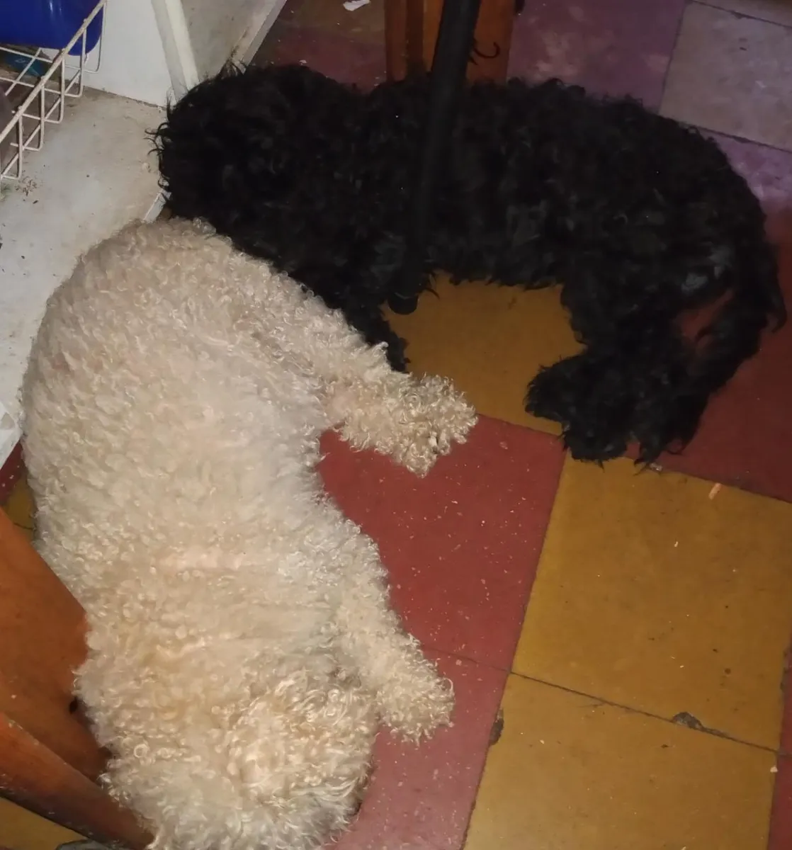 Foto de María Eugenia C.