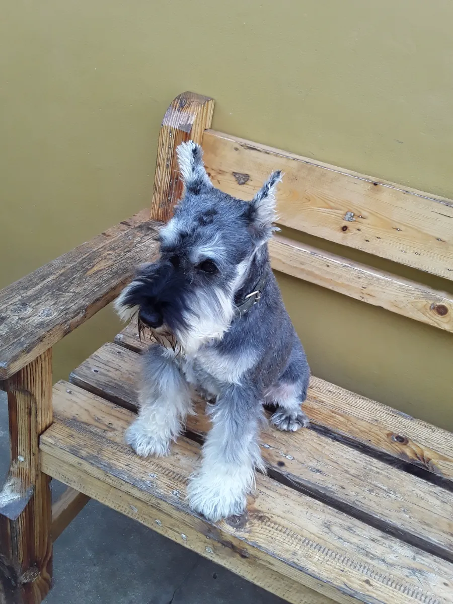 Foto de Natalia B.