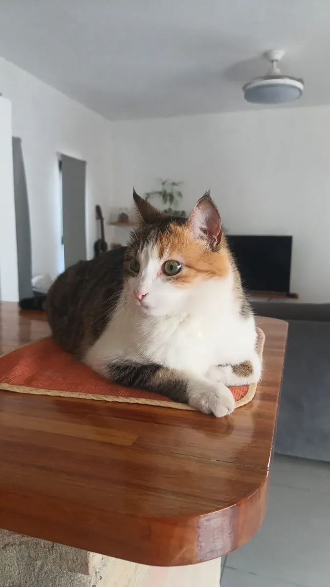 Foto de Florencia V.