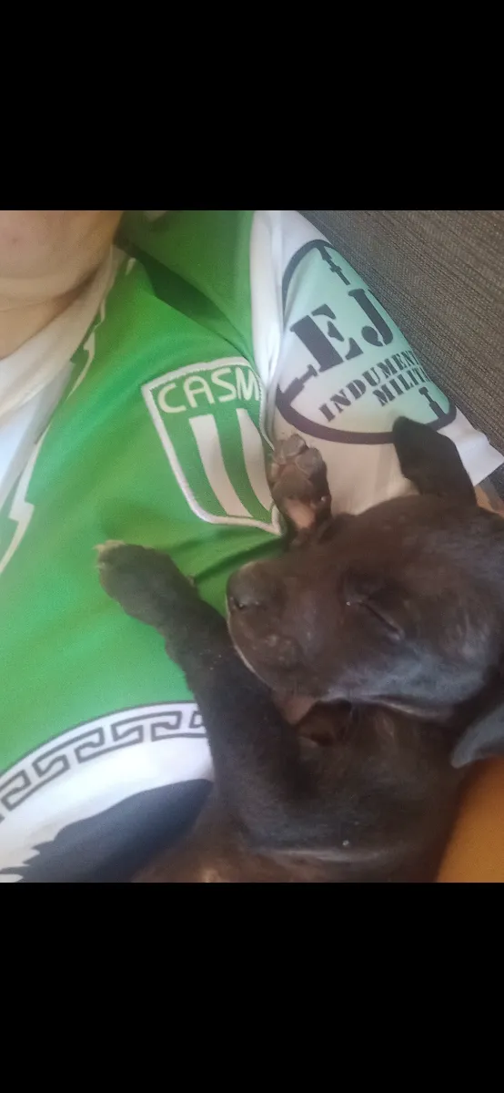 Foto de Silvana H.