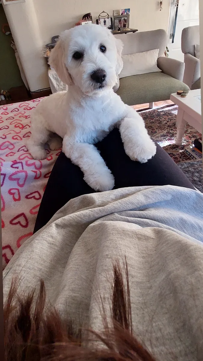 Florencia B. 2