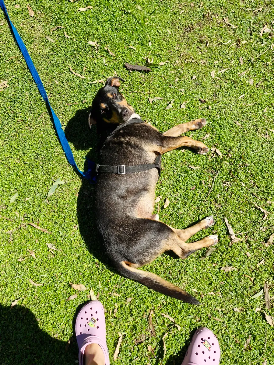 Mariana H. 2