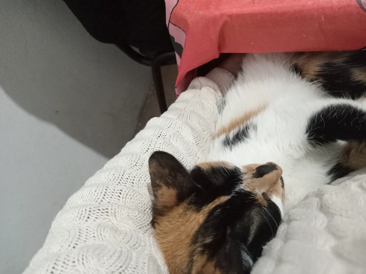 Foto de Isabel G.