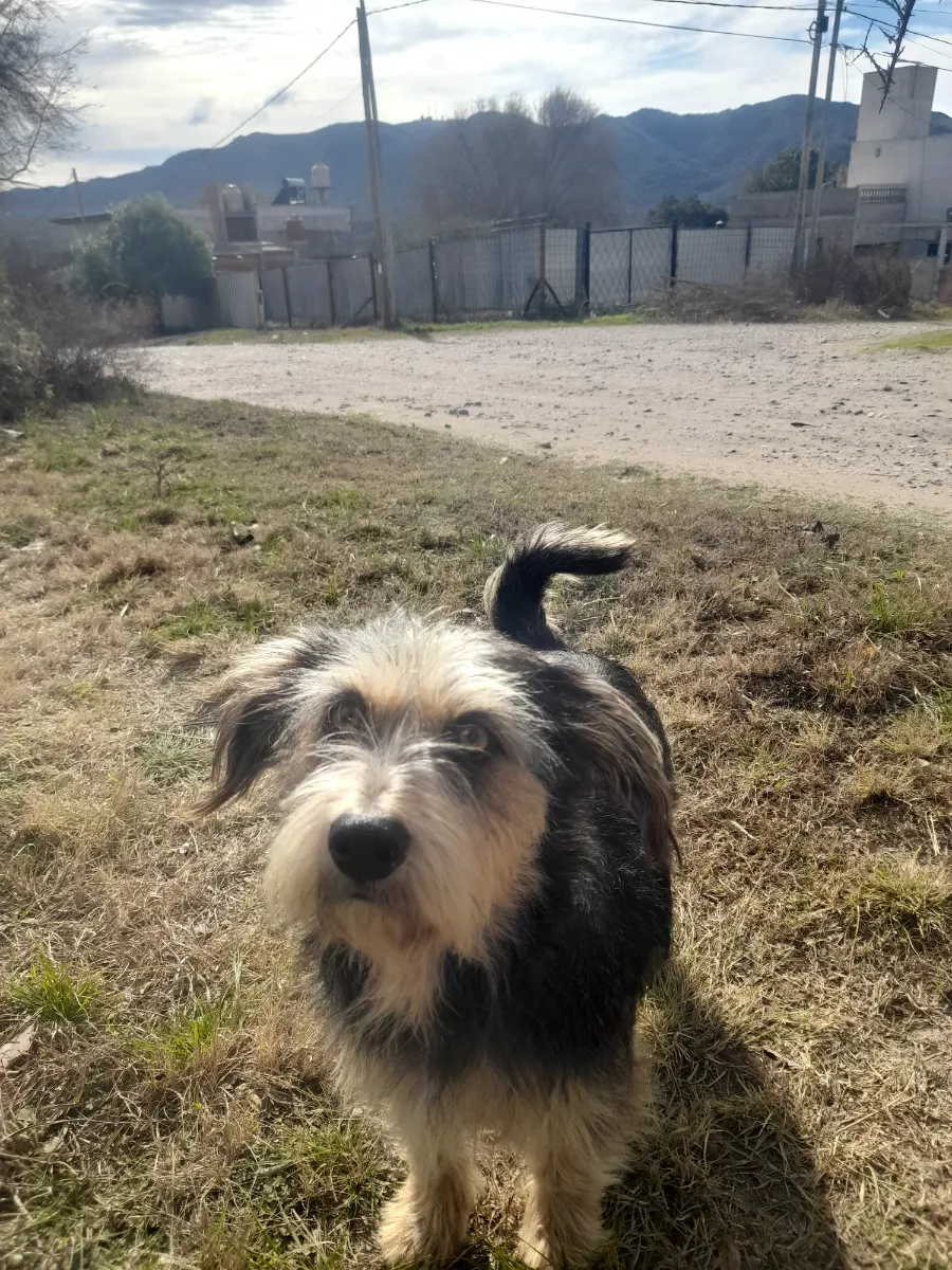 Ezequiel C. 2
