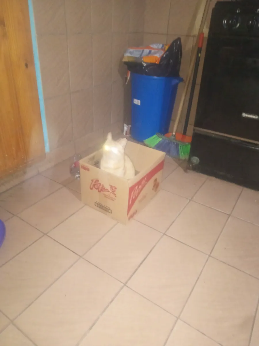 Foto de Flavio P.