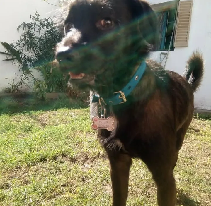 Foto de Joaquin Y.