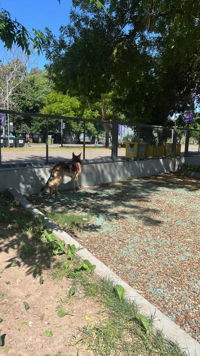 Foto de Franco N.