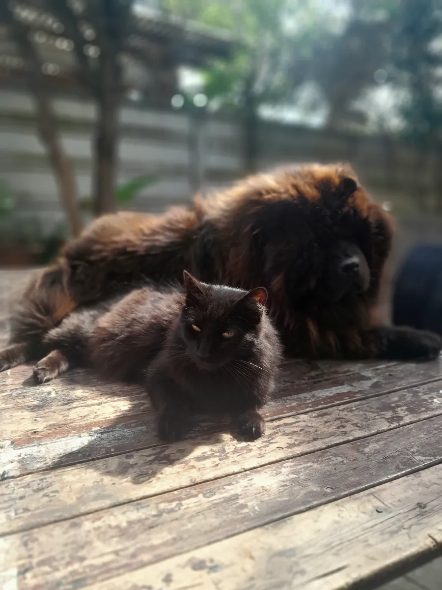 Carmen Mabel P.