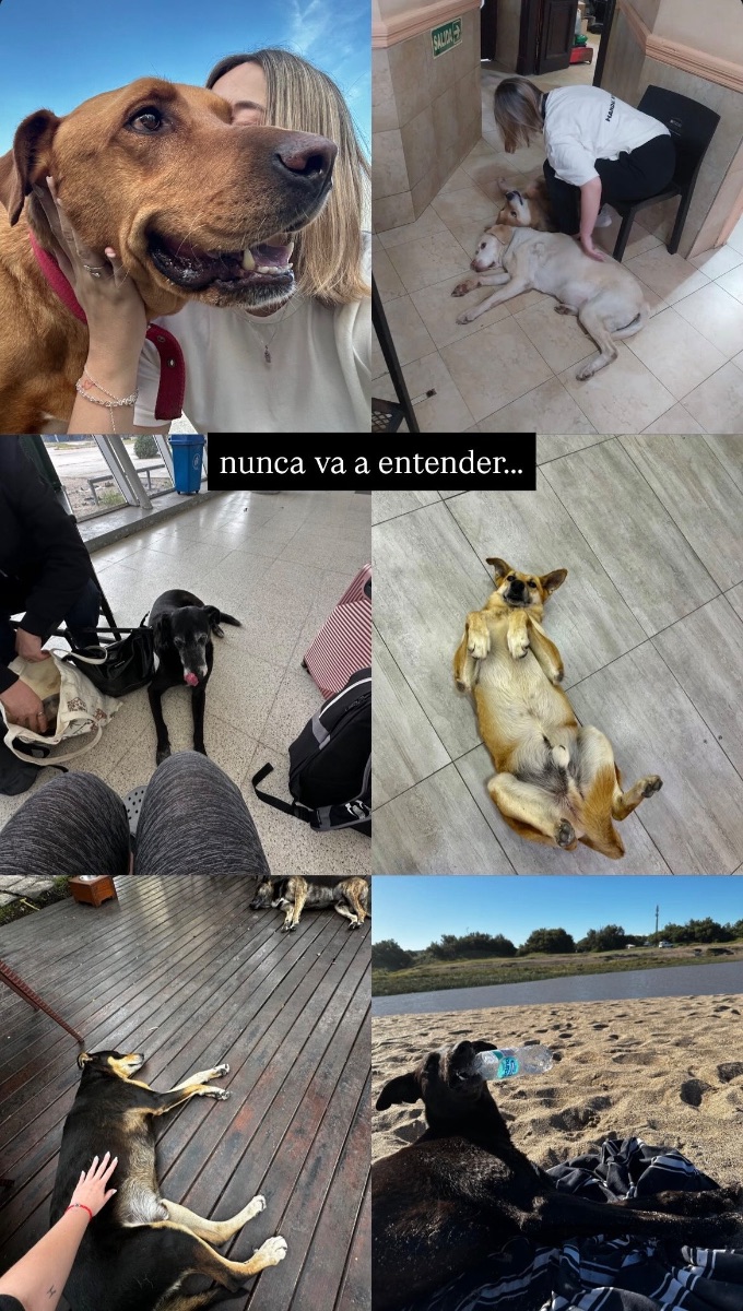Foto de Belen R.