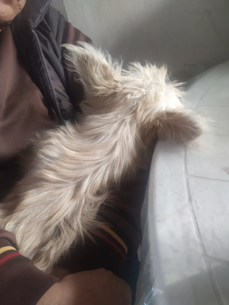 Foto de Graciela C.