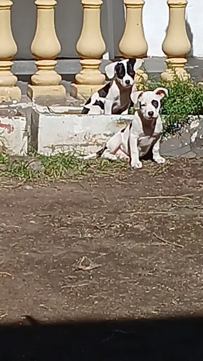 Foto de Matias B.