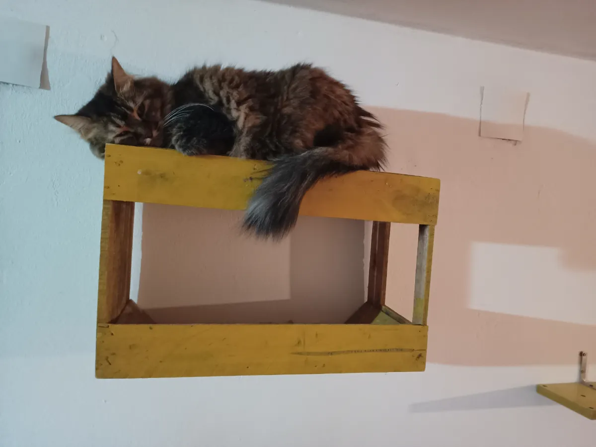 Foto de Alejandro M.