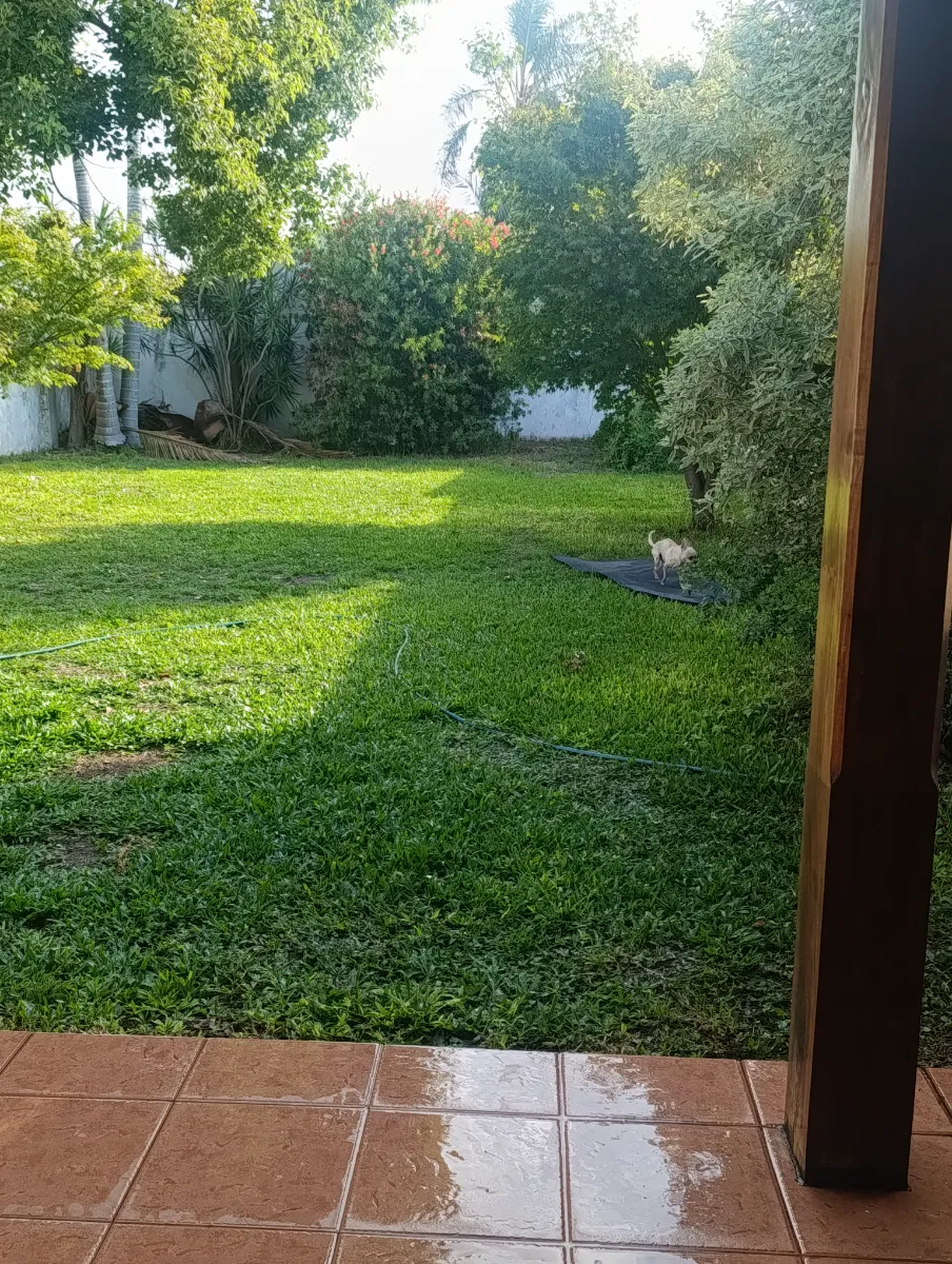 Foto de Cecilia H.