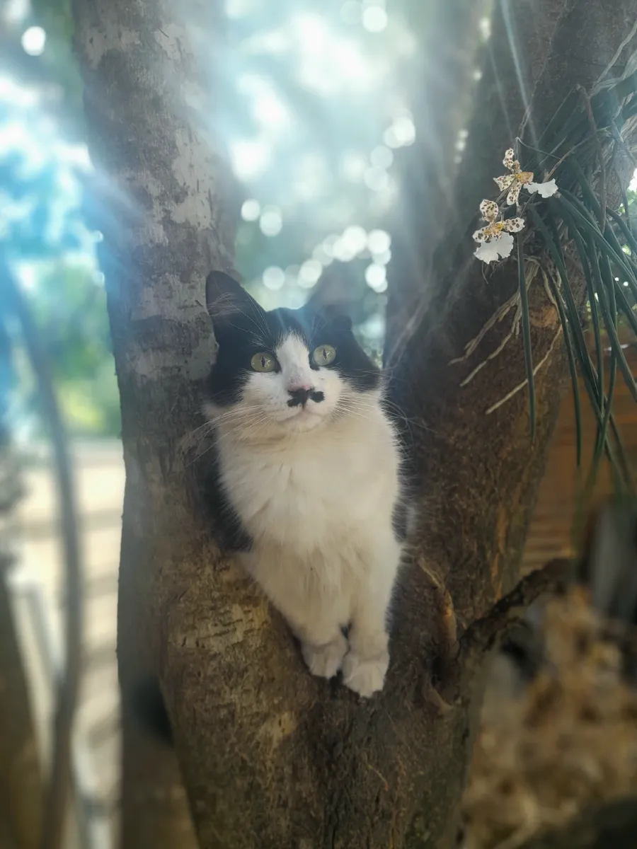 Foto de Carmen Mabel P.