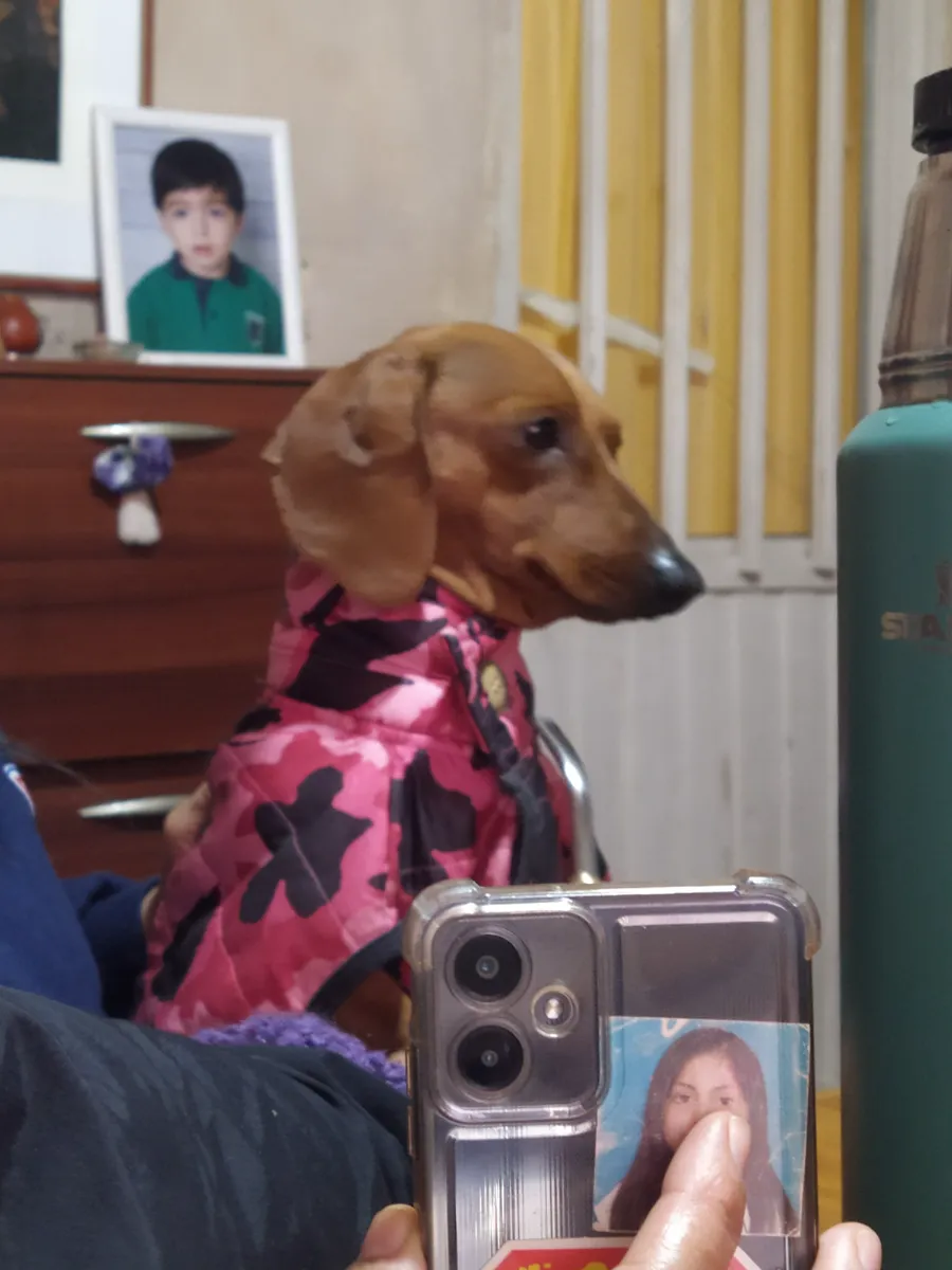 Foto de Graciela C.