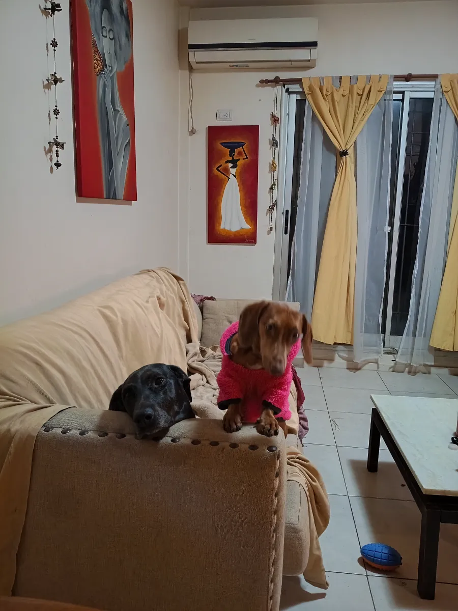 Alejandra D. 5
