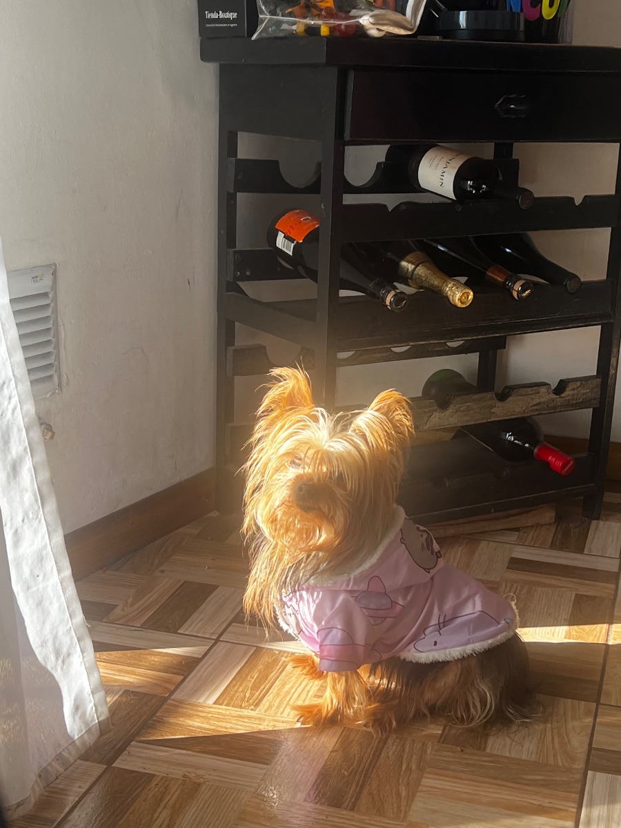 Foto de Solange M.