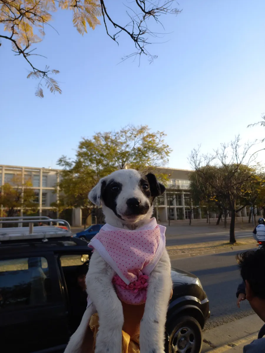 Foto de Gisela S.