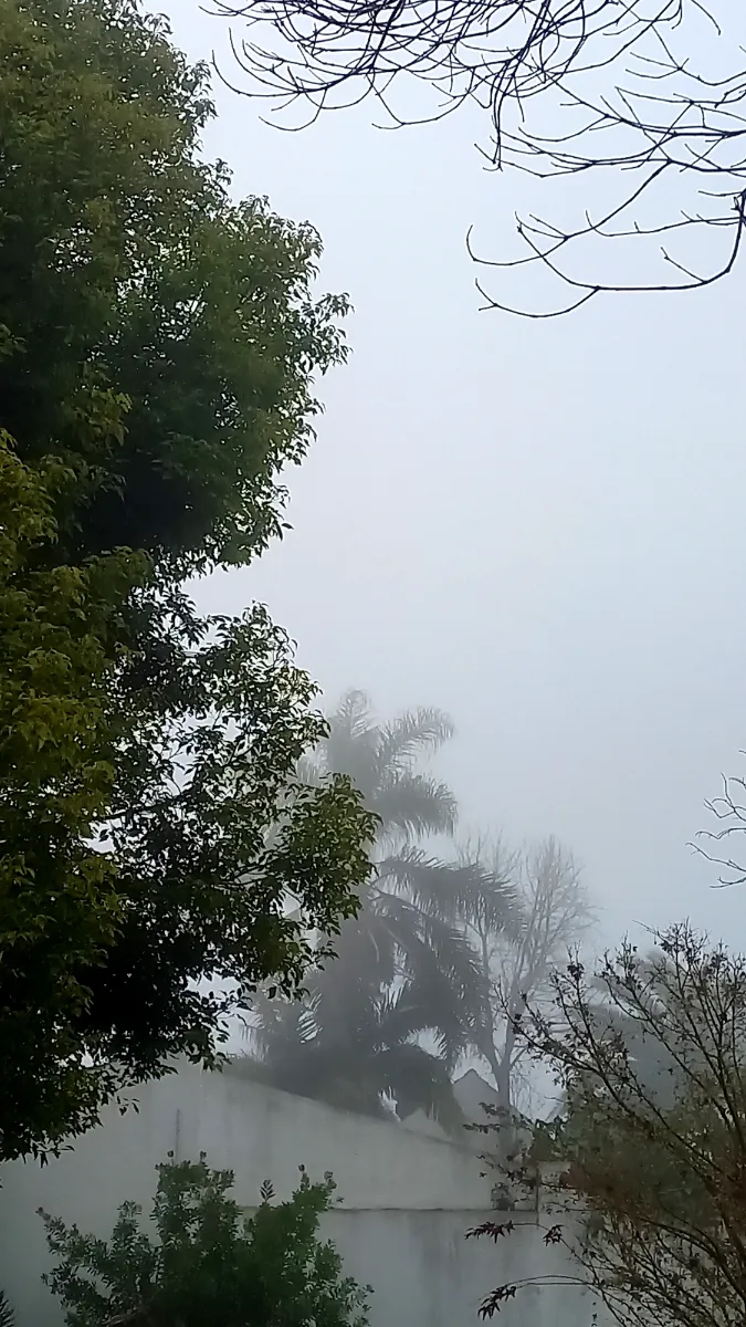 Foto de Cecilia H.