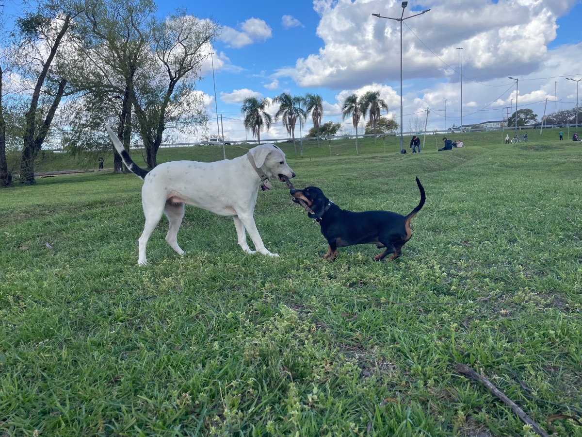 Foto de Belen M.