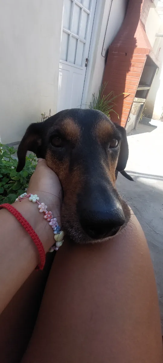 Florencia B. 7