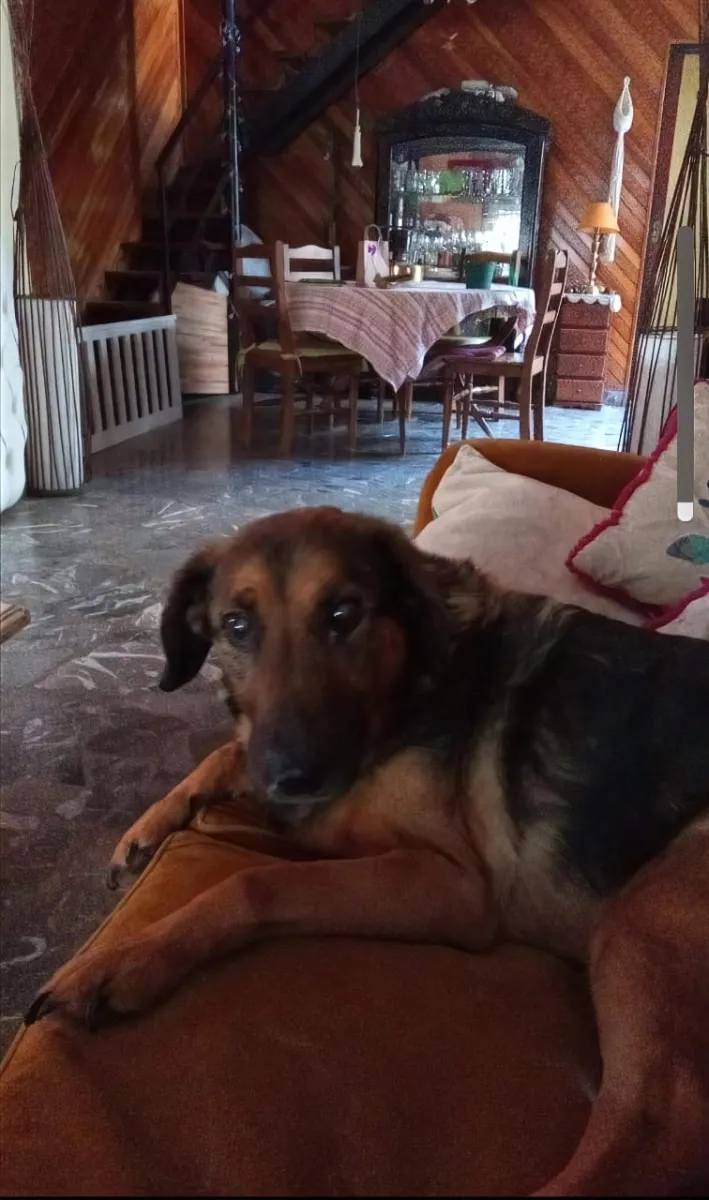Foto de Gabriela Amalia C.