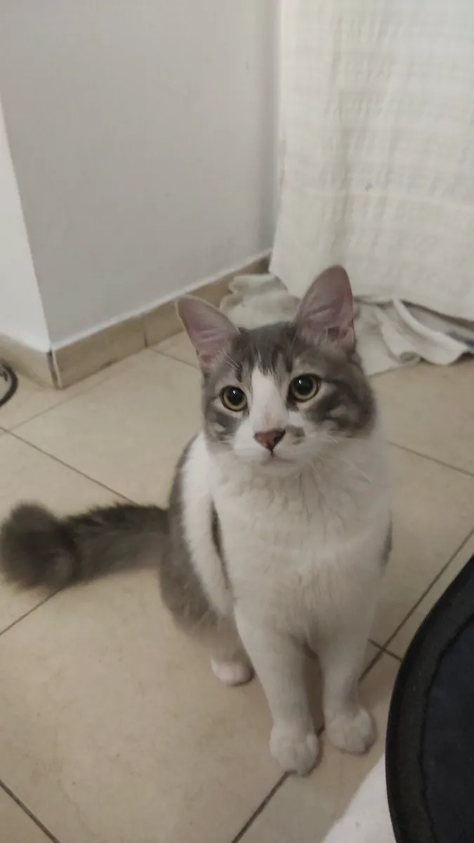 Foto de Maia R.