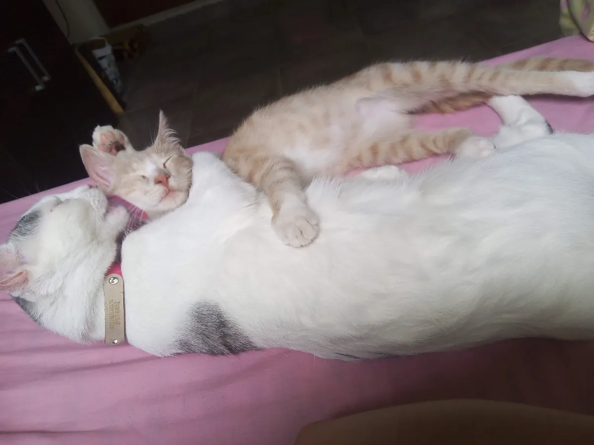 Foto de Maia R.