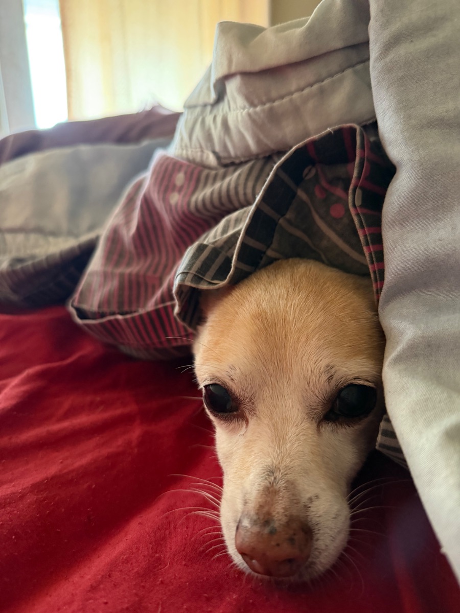 Foto de Lolo T.
