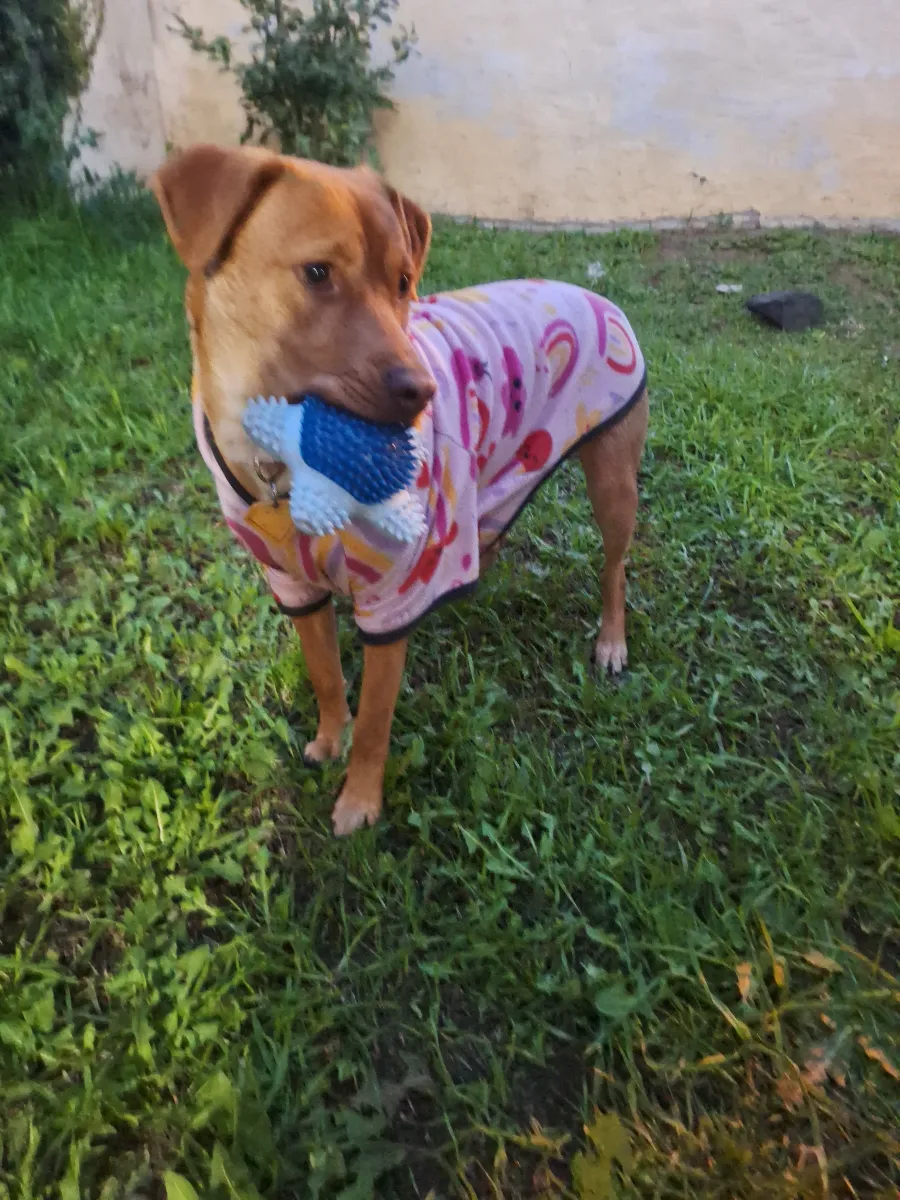 Foto de Pamela C.