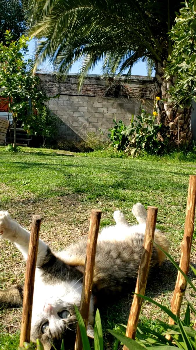 Foto de Soledad C.