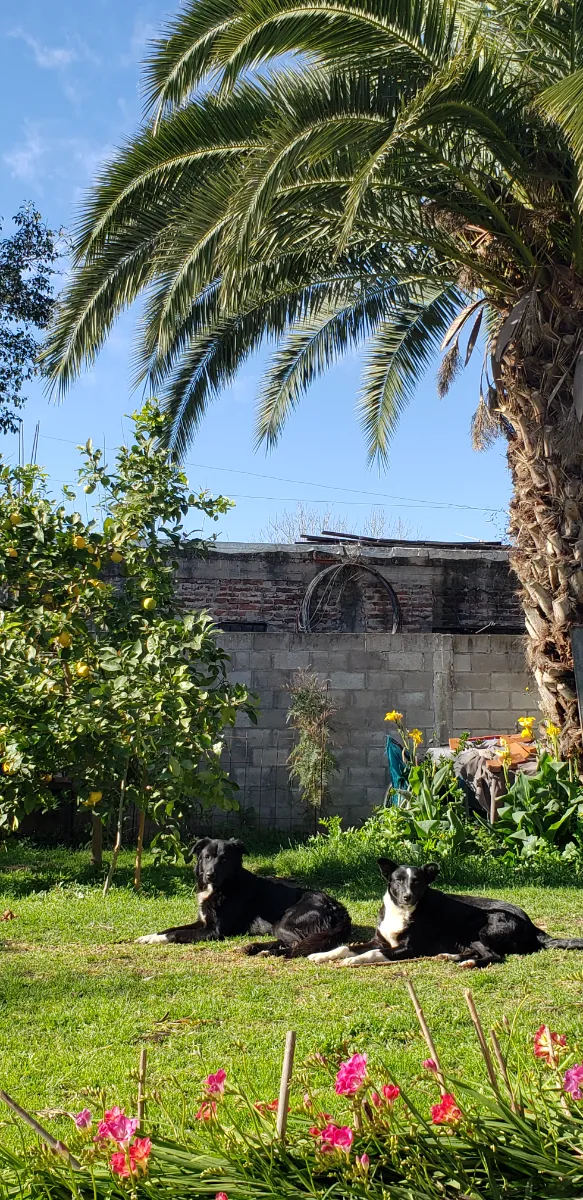 Foto de Soledad C.