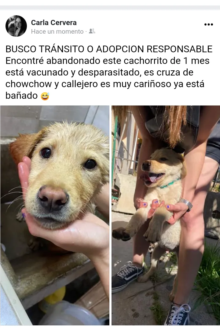 Foto de Carla C.