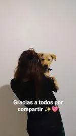 Foto de Carla C.