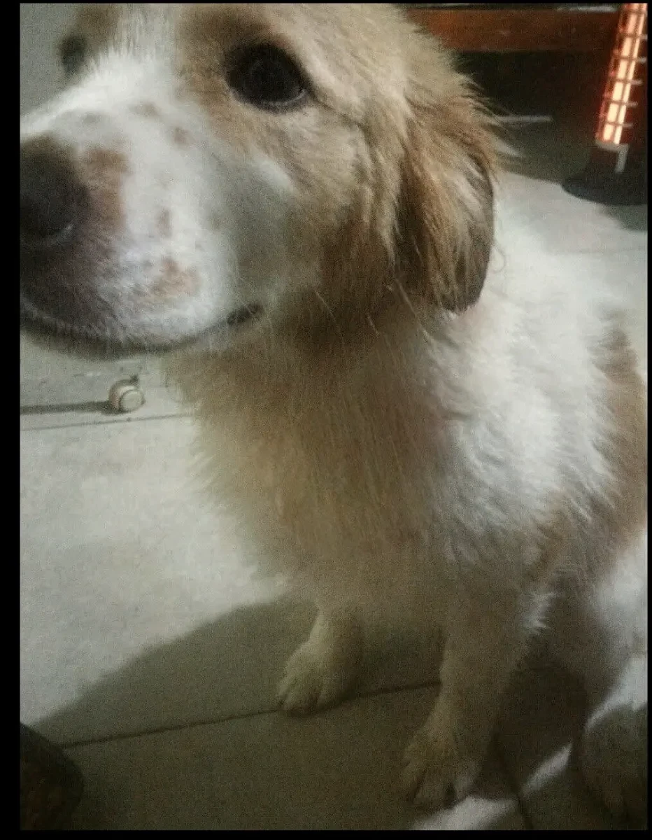 Foto de Juan Q.
