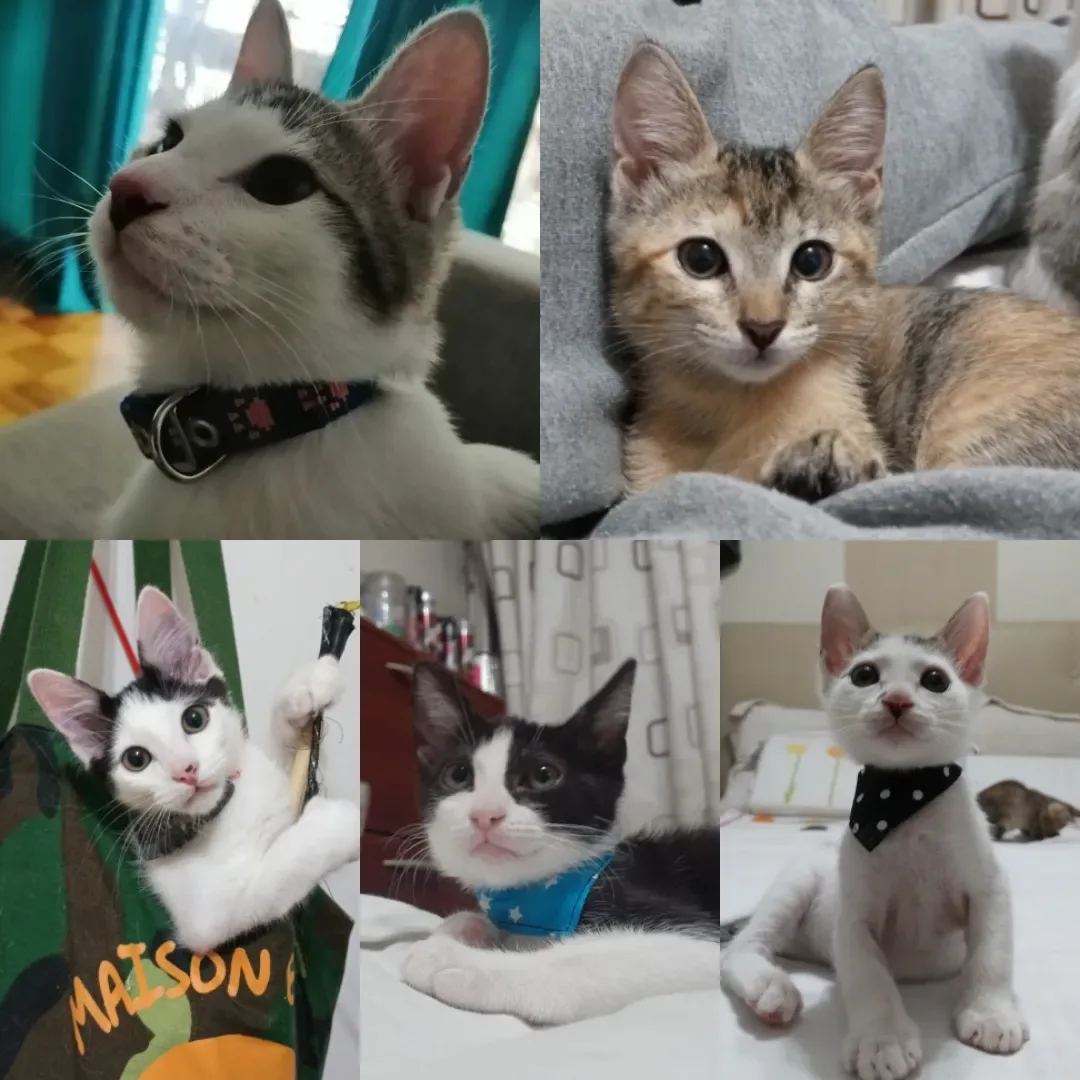 Foto de Pamela D.