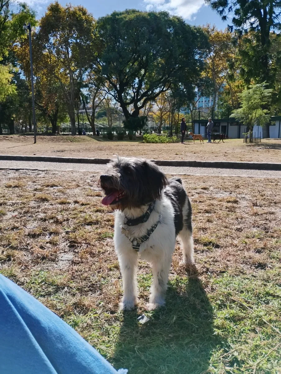 Foto de Camila M.