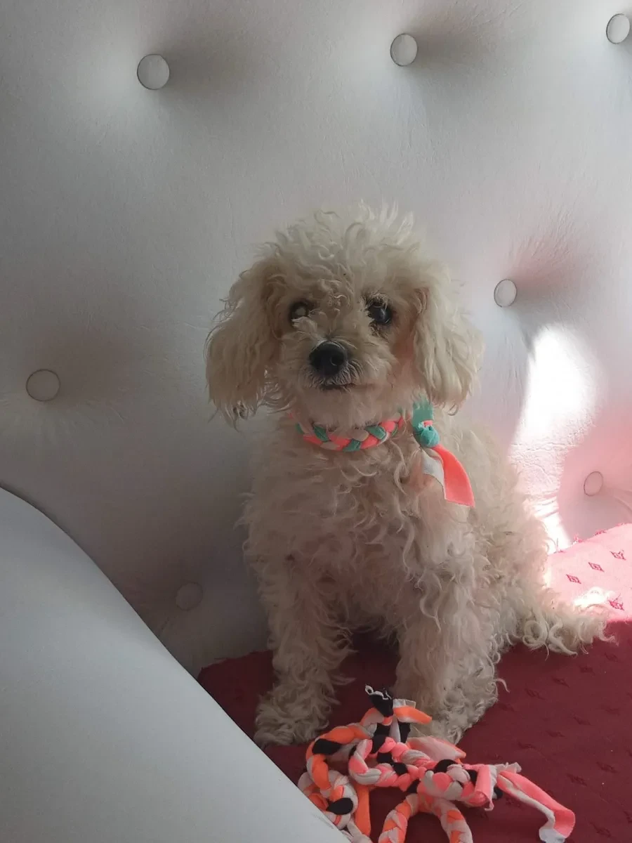 Foto de Mili G.