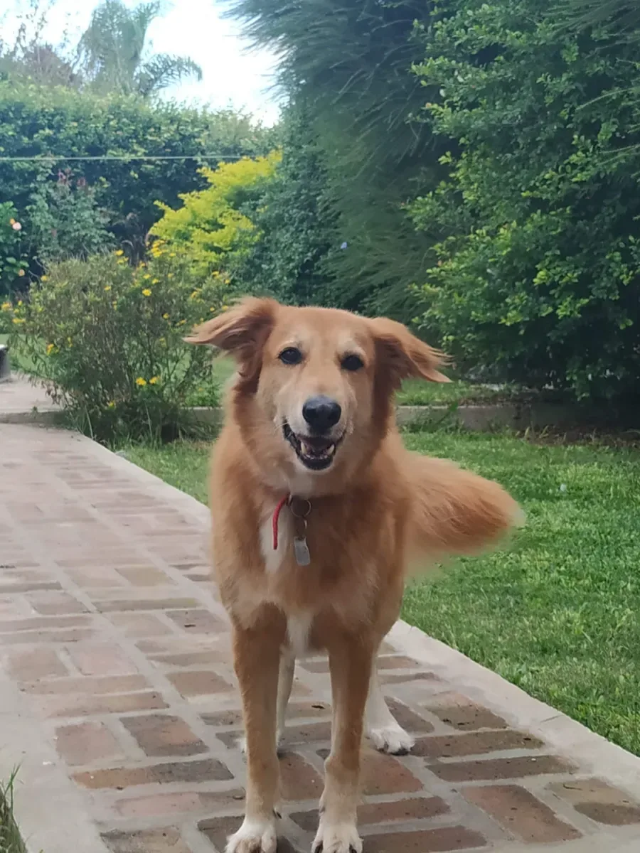 Foto de Kara M.