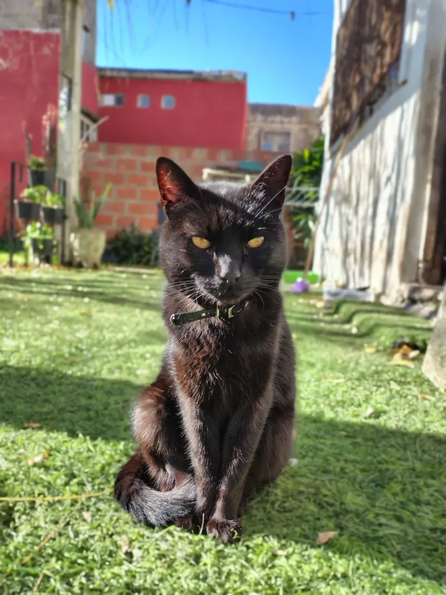 Foto de Brisa G.
