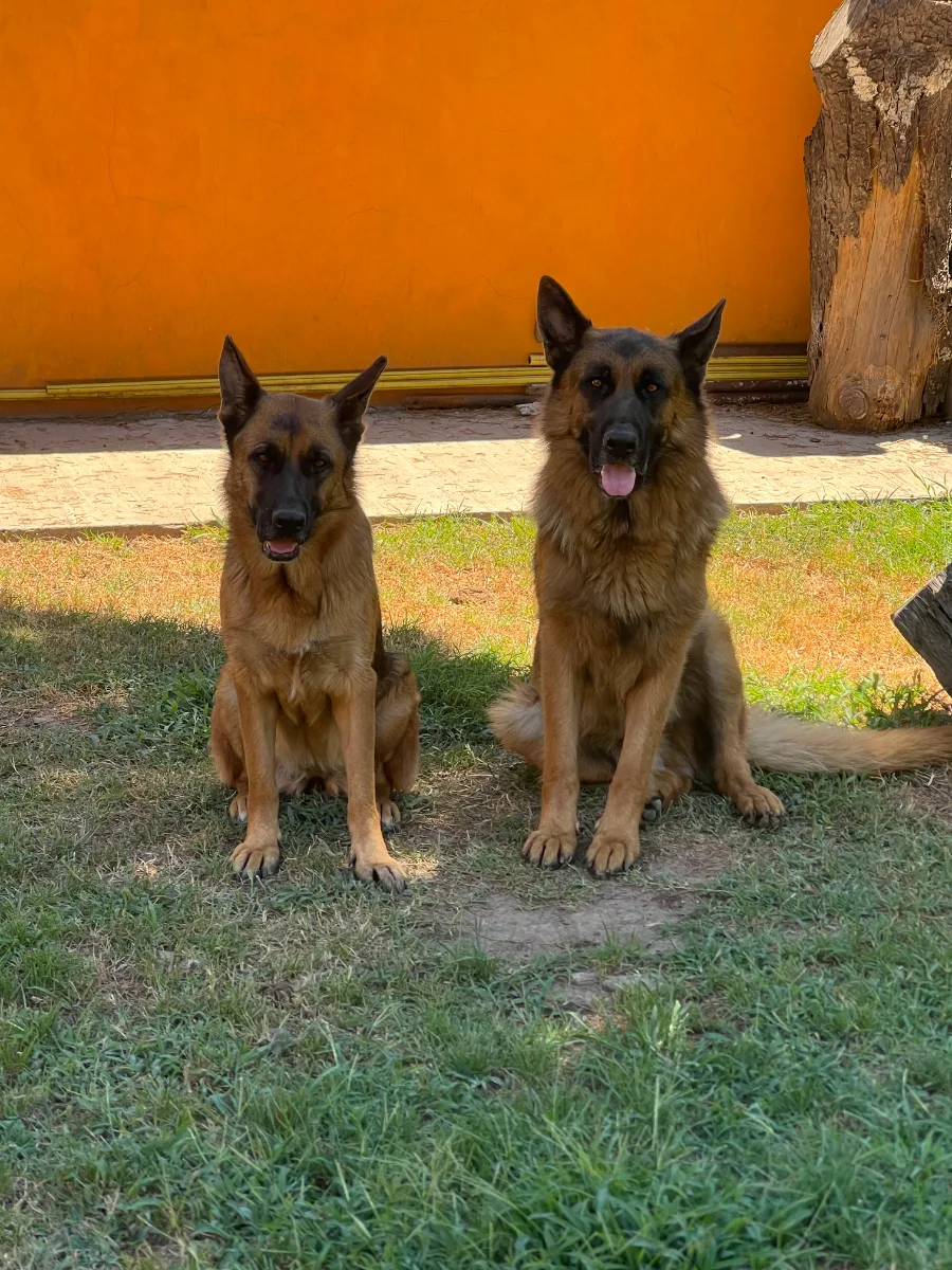 Foto de Sofía B.